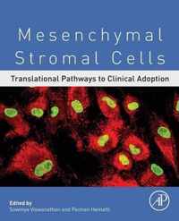 Mesenchymal Stromal Cells