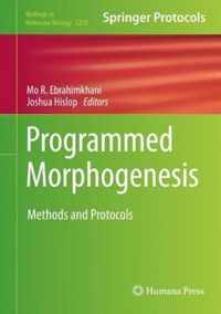 Programmed Morphogenesis