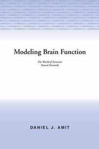 Modeling Brain Function