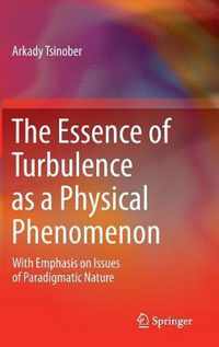 The Essence of Turbulence as a Physical Phenomenon