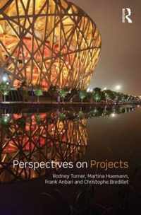 Perspectives on Projects