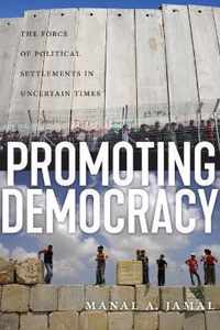 Promoting Democracy