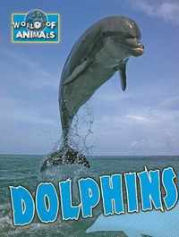 Dolphins