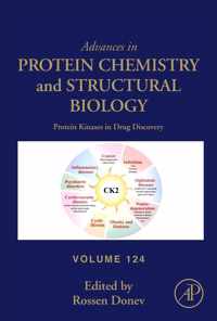 Protein Kinases in Drug Discovery