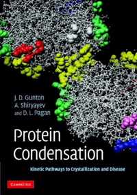 Protein Condensation