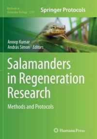 Salamanders in Regeneration Research