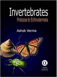 Invertebrates: Protozoa to Echinodermata