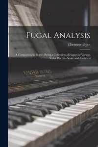 Fugal Analysis