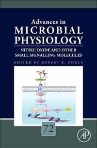 Nitric Oxide and Other Small Signalling Molecules