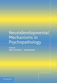 Neurodevelopmental Mechanisms in Psychopathology