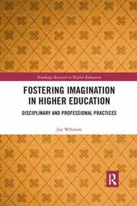 Fostering Imagination in Higher Education