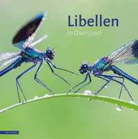 Libellen in Overijssel