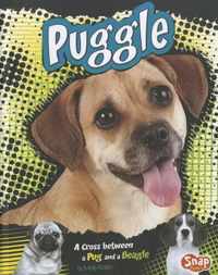 Puggle