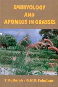 Embryology and Apomixis in Grasses