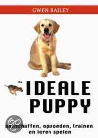 Ideale Puppy