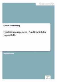 Qualitatsmanagement - Am Beispiel der Jugendhilfe