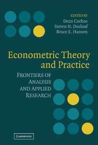 Econometric Theory and Practice