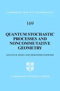 Quantum Stochastic Processes and Noncommutative Geometry