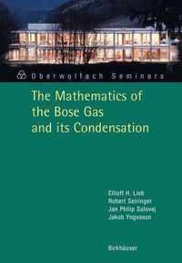 The Mathematics of the Bose Gas and its Condensation