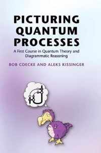 Picturing Quantum Processes