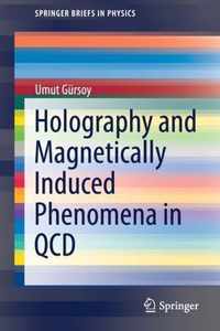 Holography and Magnetically Induced Phenomena in QCD