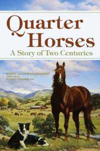 Quarter Horses