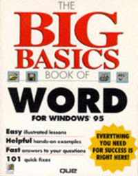 The Big Basics Book of Word for Windows 95