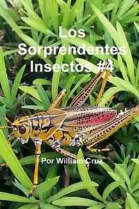 Los Sorprendentes Insectos #4