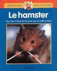 Gros plan sur la nature 5. le hamster