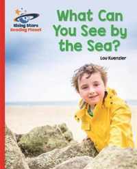 Reading Planet - What Can You See by the Sea? - Red B