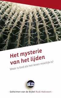 Het mysterie van het lijden