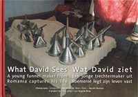 What David sees; Wat David ziet