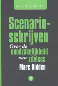 De essentie - Scenario schrijven