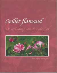 Oeillet flamand