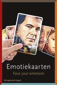 Emotiekaarten - Michiel Hulsbergen - Pakket (9789462762473)