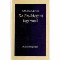 Bruidegom Tegemoet