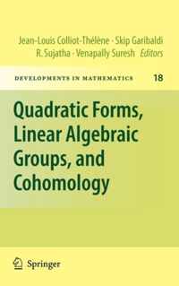 Quadratic Forms, Linear Algebraic Groups, and Cohomology