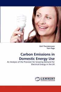 Carbon Emissions in Domestic Energy Use