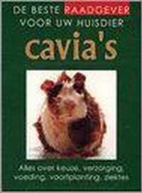 Cavia's