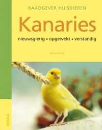 Raadgever huisdieren - Kanaries