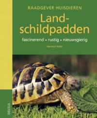 Raadgever huisdieren - Landschildpadden