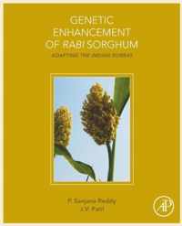 Genetic Enhancement of Rabi Sorghum