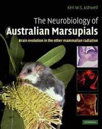 Neurobiology Of Australian Marsupials