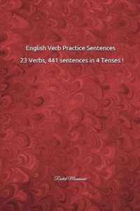 English Verb Practice Sentences: 23 Verbs, 441 sentences in 4 Tenses !