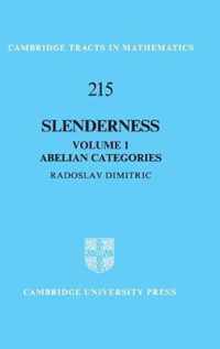 Slenderness: Volume 1, Abelian Categories