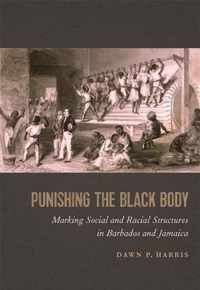 Punishing the Black Body