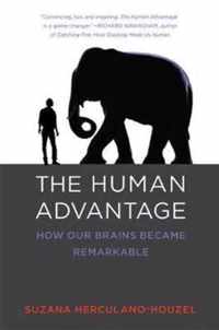 The Human Advantage: How Our Brains Became Remarkable