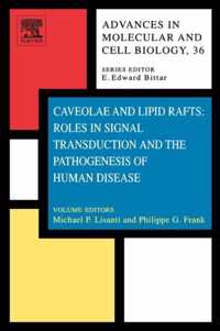 Caveolae and Lipid Rafts: Roles in Signal Transduction and the Pathogenesis of Human Disease