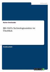 BIG DATA. Technologieansatze im UEberblick