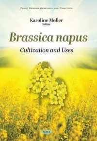 Brassica napus